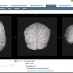 Reading: The Eyes and Brains of It
