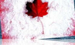 Paradise, Your Name is Canada