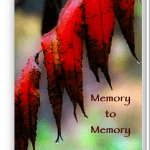 New Gift for New Subscribers -- Free!