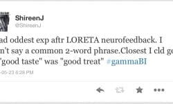 LORETA Neurofeedback Outs My Distractability