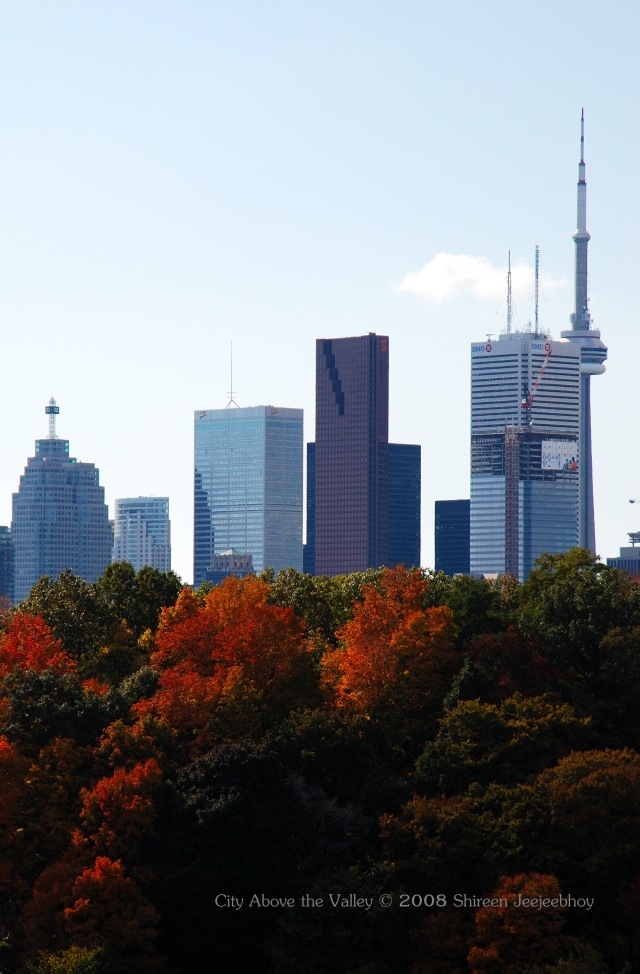 CN Tower from across the Don Valley