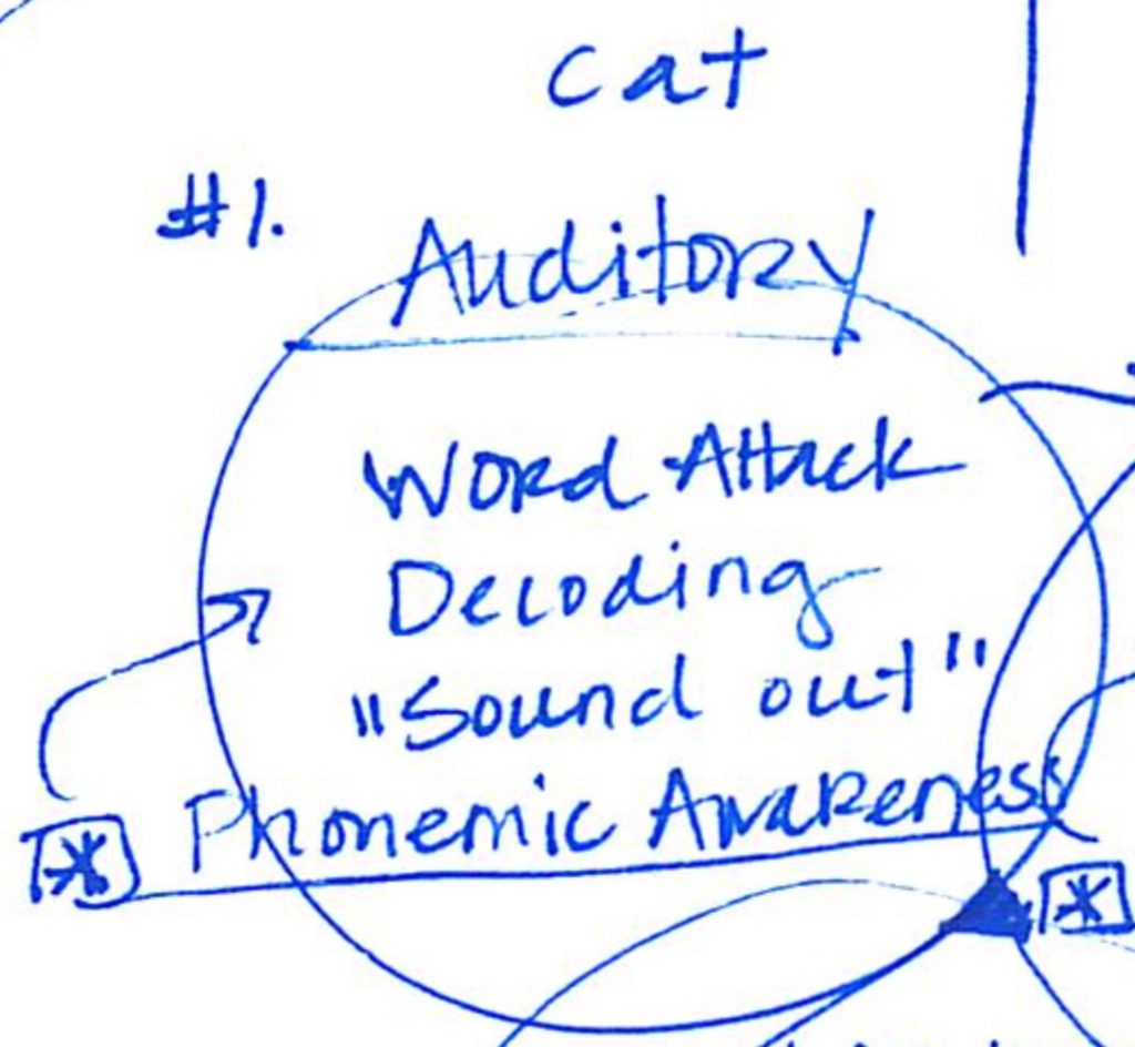 Auditory processing illustration