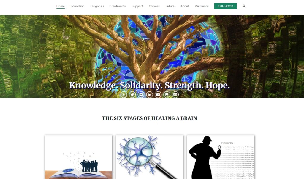 Screen Shot of Part of the Brain Injury site under development by Shireen Jeejeebhoy