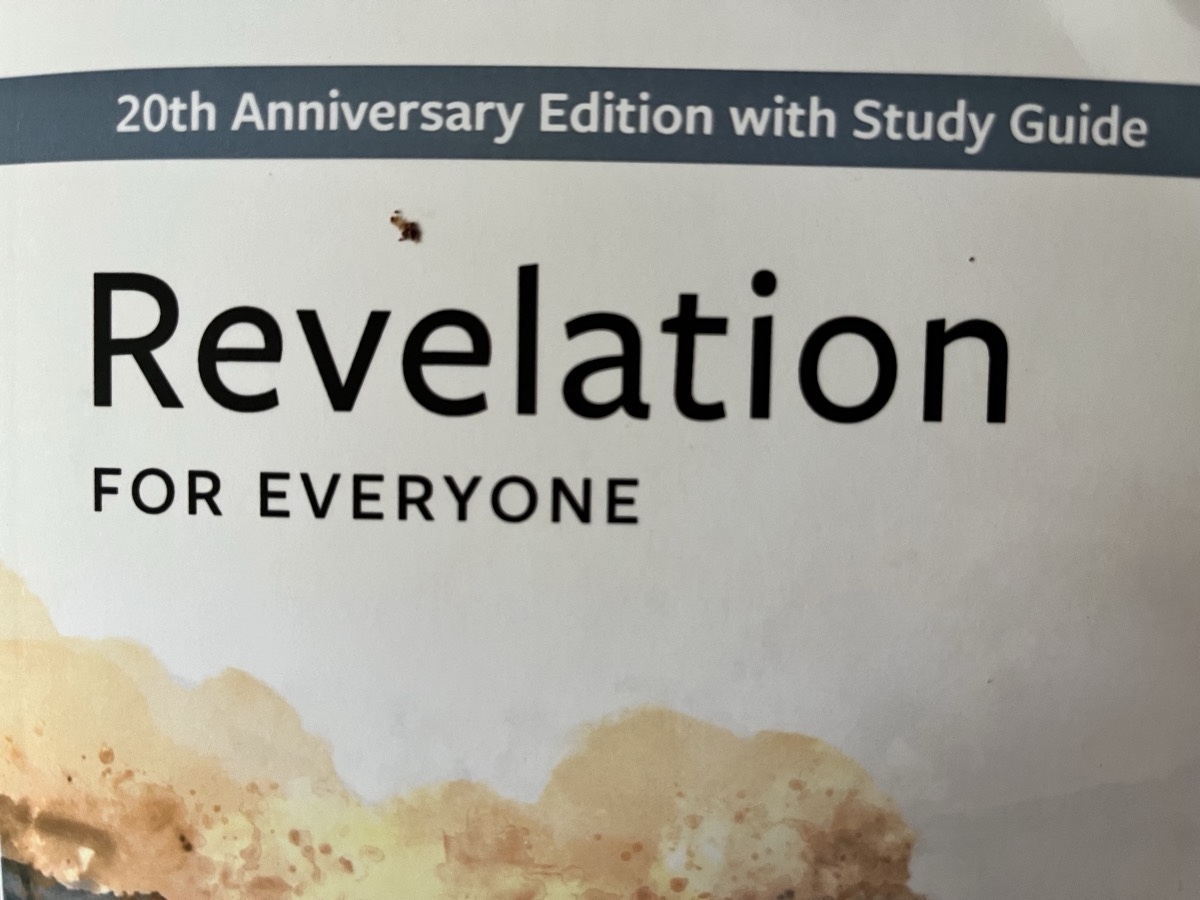 Cover of Revelation for Everyone 20th Anniversary Edition with Study Guide. Showing just the title and the top of the artwork.